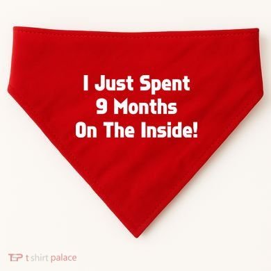 I Just Spent 9 Months on the Inside USA-Made Doggie Bandana