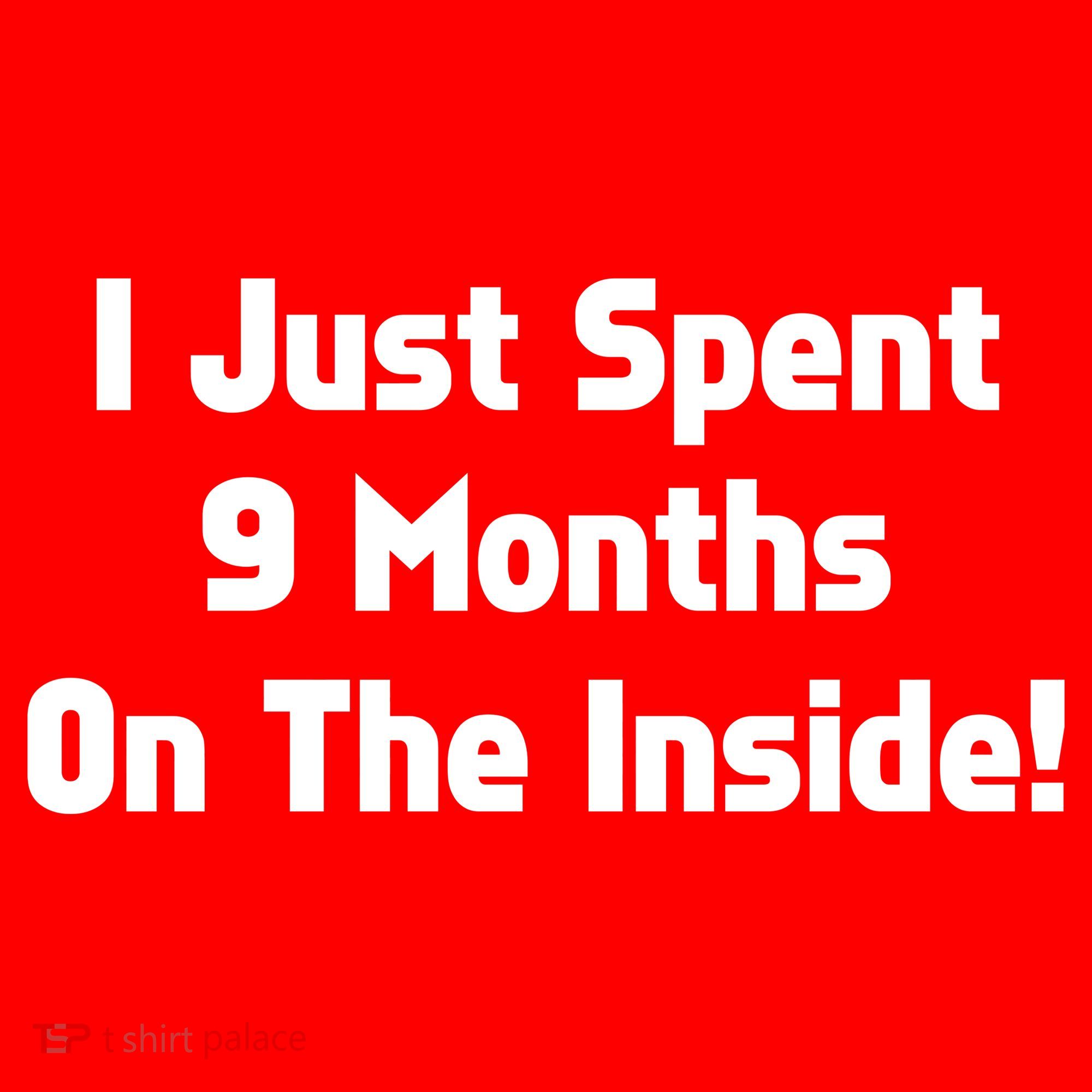 I Just Spent 9 Months on the Inside T-Shirt