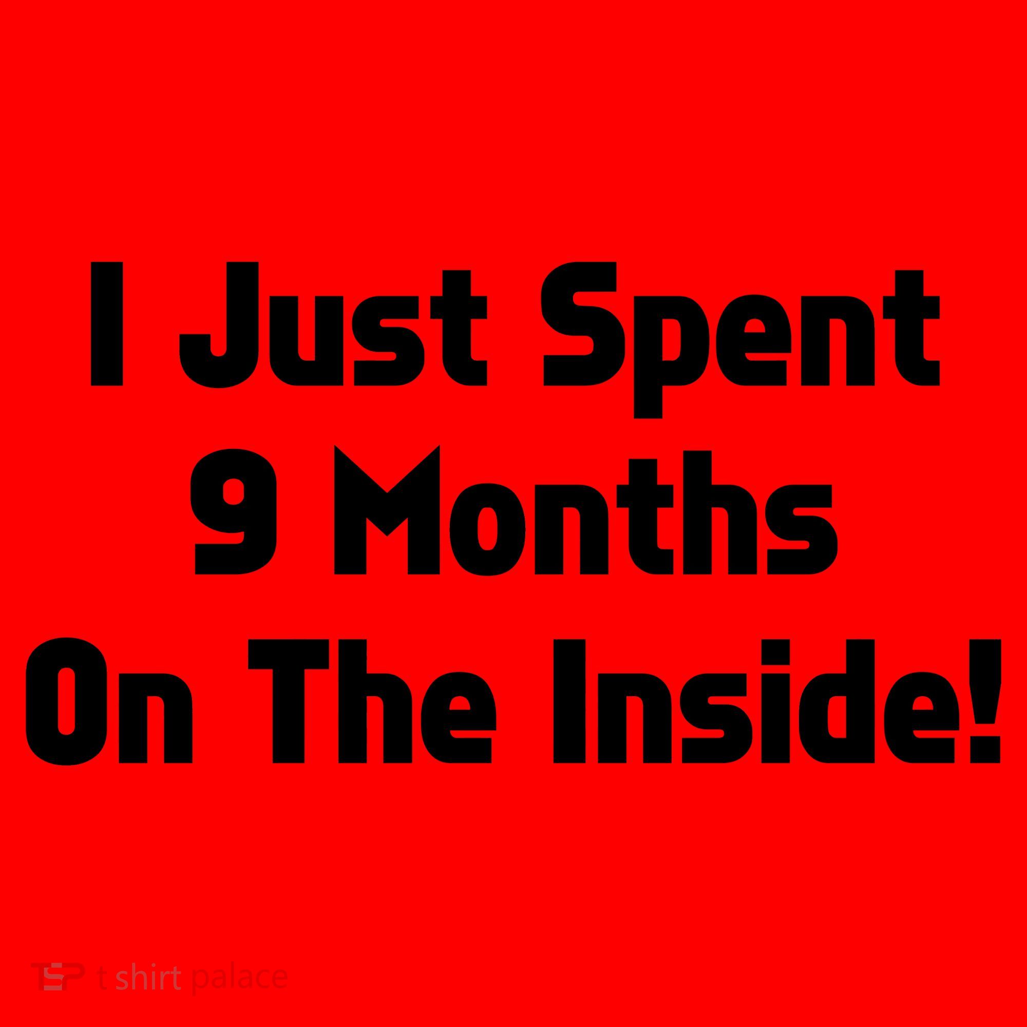 I Just Spent 9 Months on the Inside Santa Hat