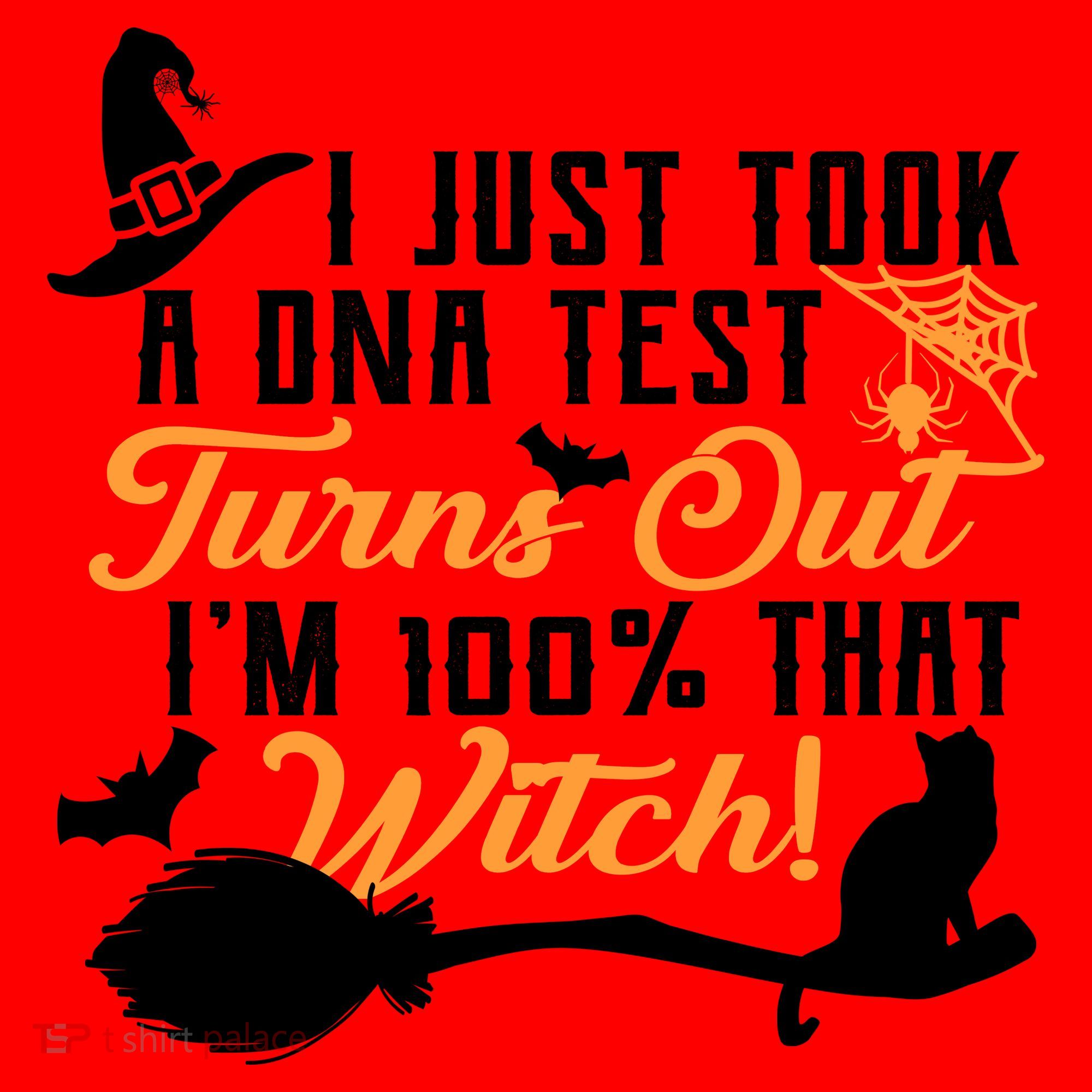 I Just Took A DNA Test Turns Out I'm 100 Percent That Witch Santa Hat