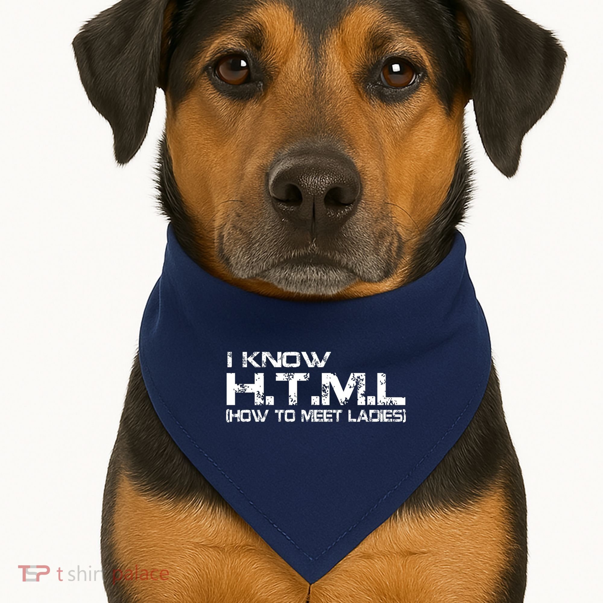 I know HTML How To Meet Ladies USA-Made Doggie Bandana