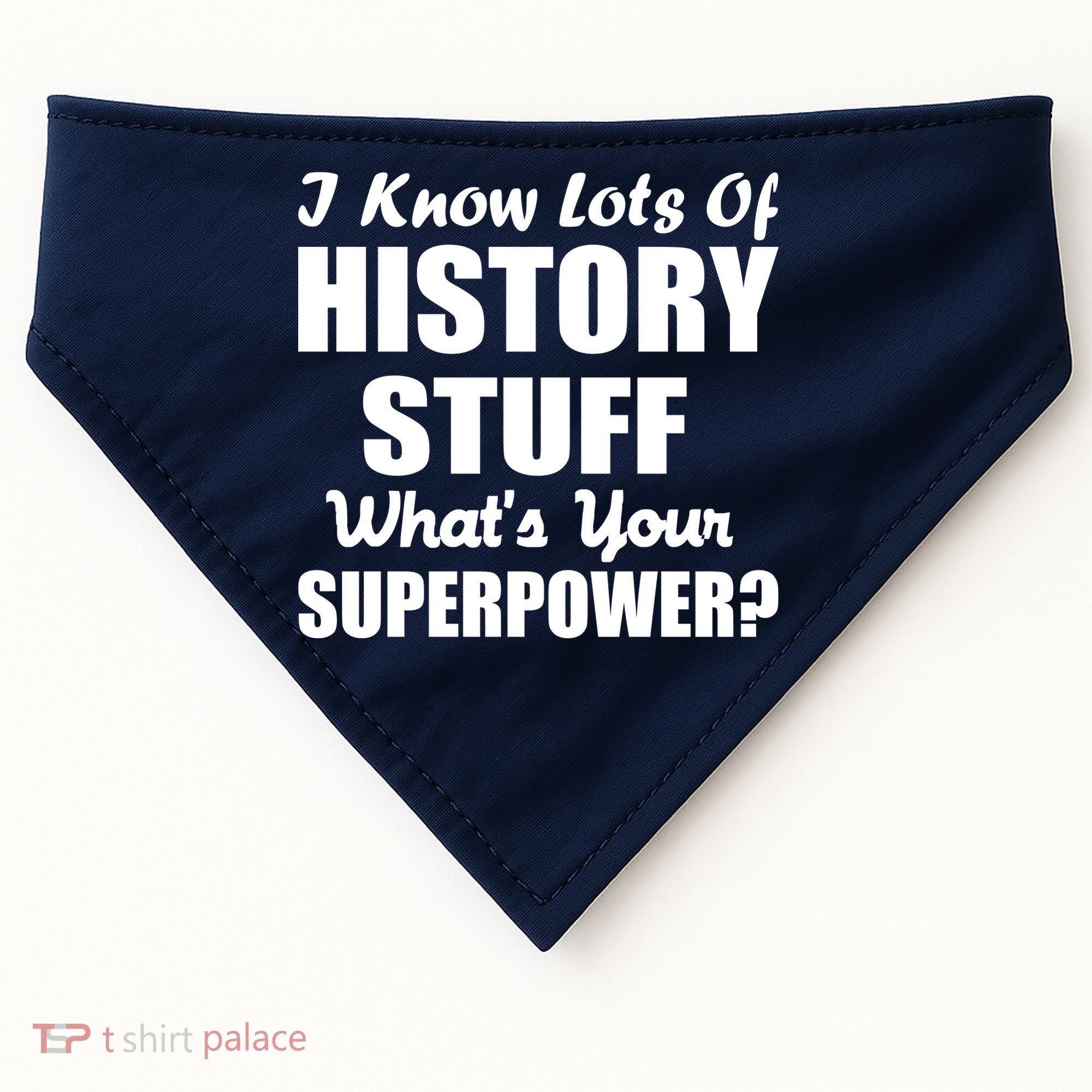 I Know Lots Of History What's Your Superpower USA-Made Doggie Bandana