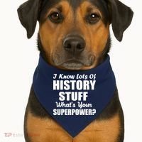 I Know Lots Of History What's Your Superpower USA-Made Doggie Bandana thumb 1