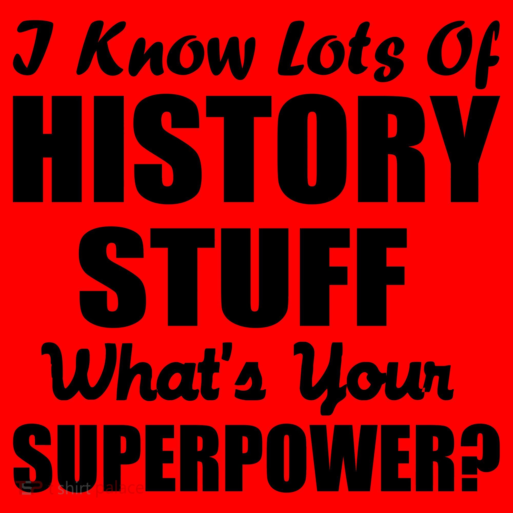 I Know Lots Of History What's Your Superpower Santa Hat