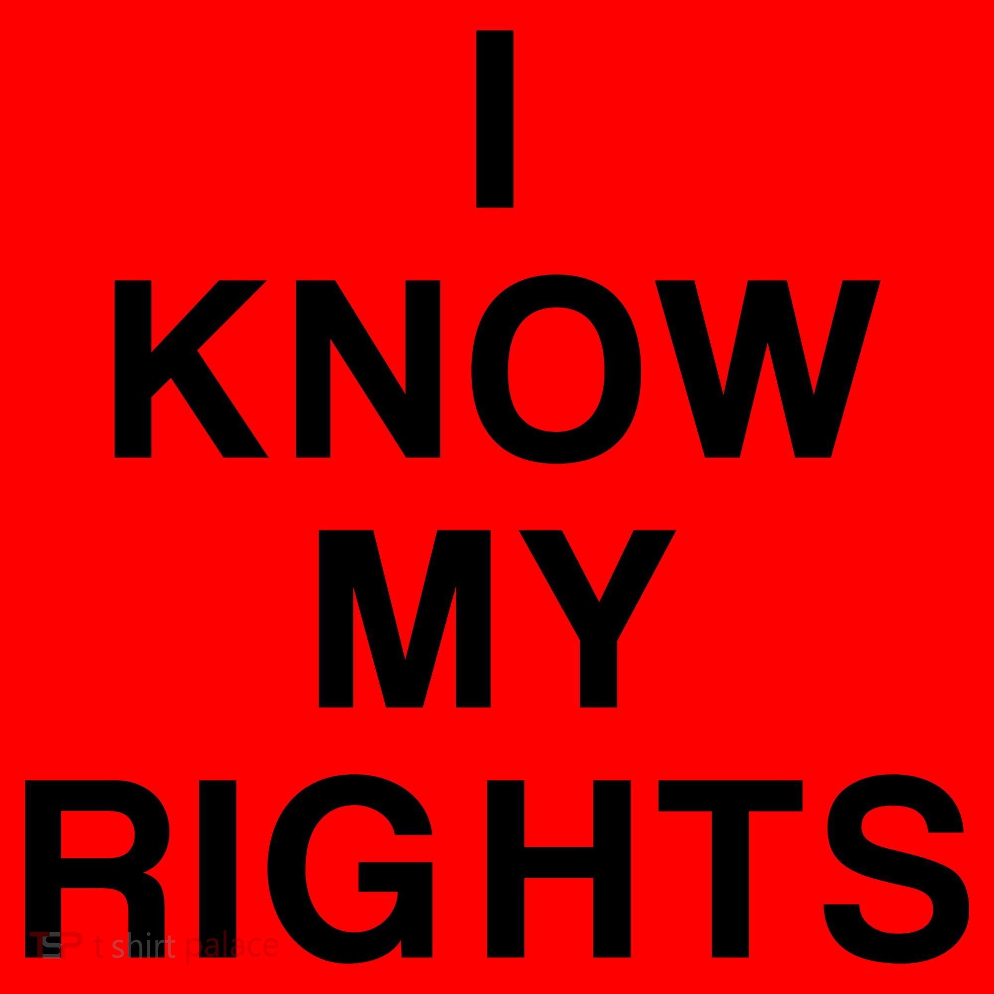 I Know My Rights Santa Hat