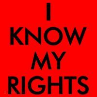 I Know My Rights Protest Santa Hat thumb 1