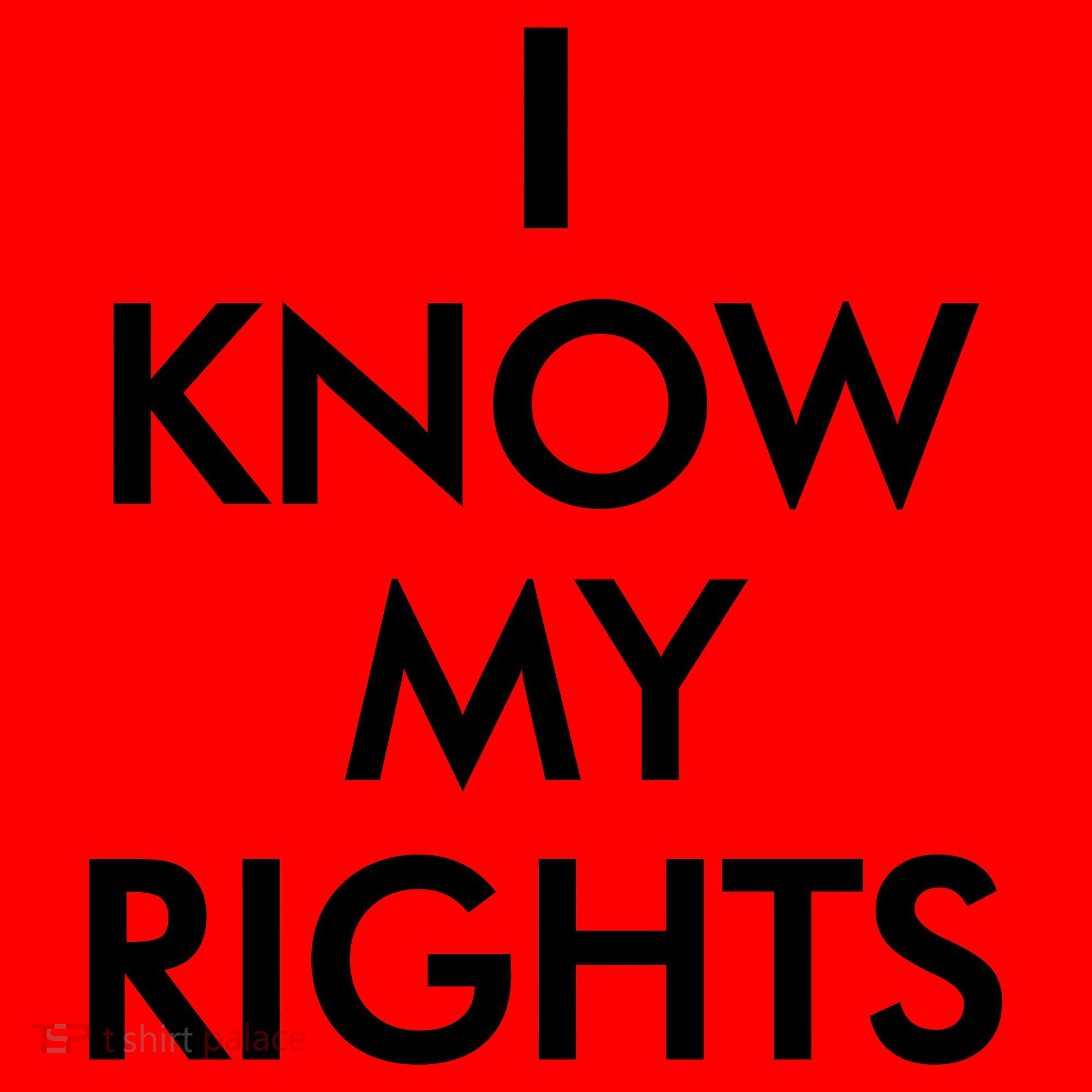 I Know My Rights Protest Santa Hat