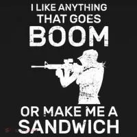 I Like Anything That Goes Boom Toddler Hoodie thumb 2
