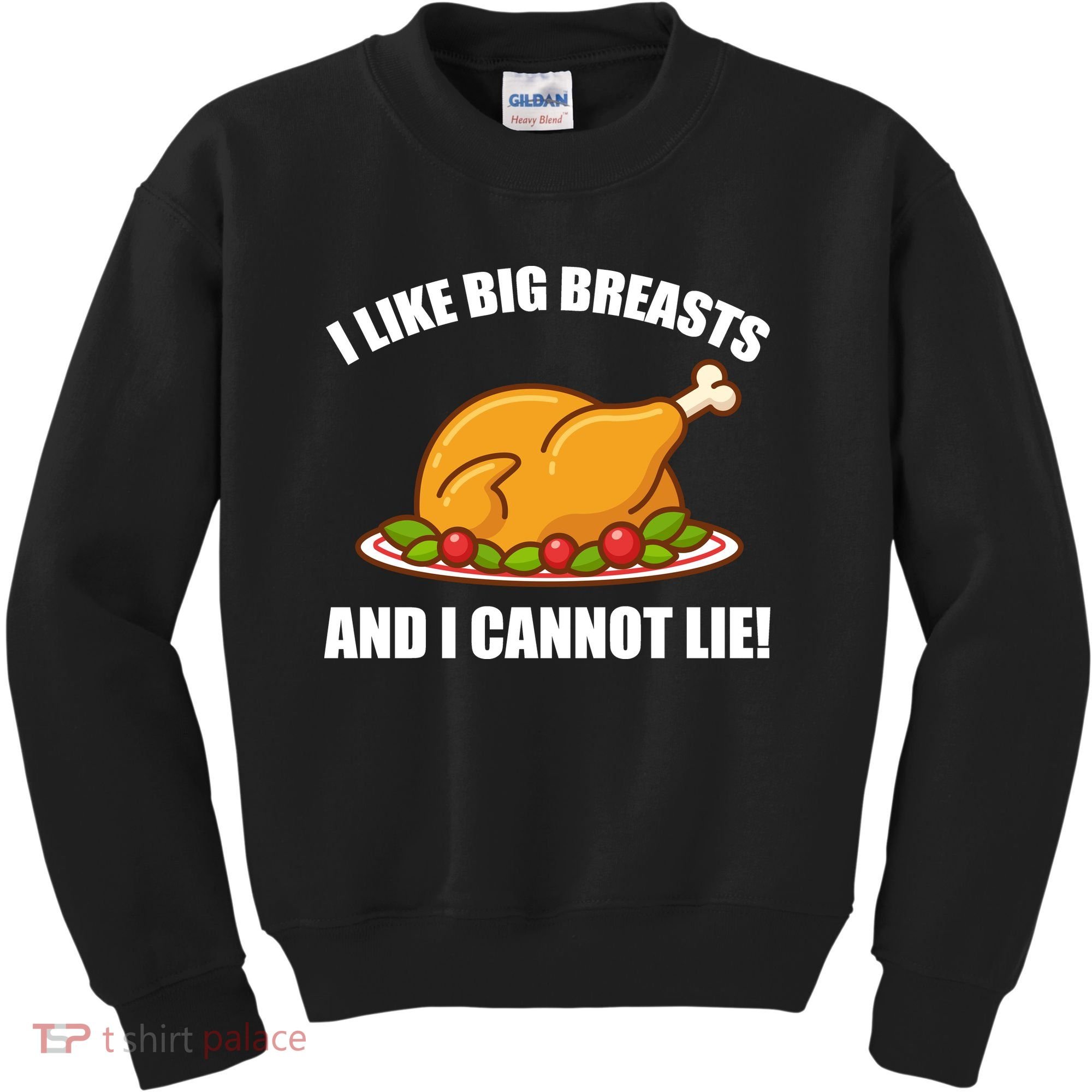 I like Big Breasts And I Cannot Lie Kids Sweatshirt