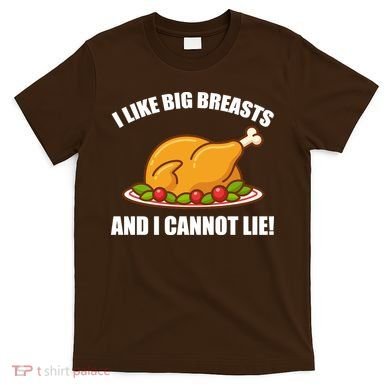 I like Big Breasts And I Cannot Lie T-Shirt