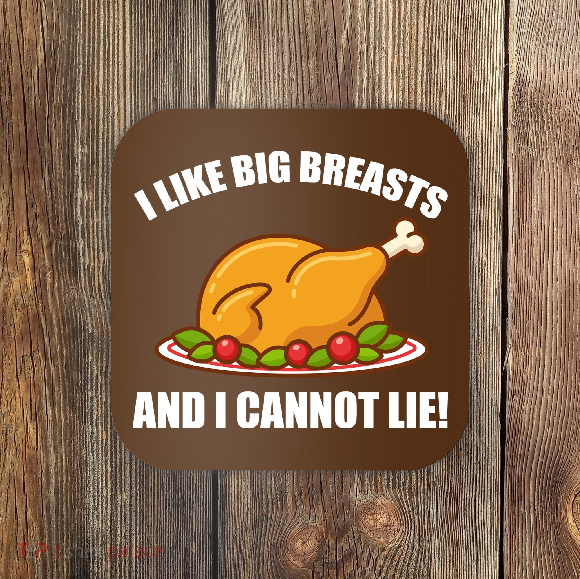 I like Big Breasts And I Cannot Lie Coaster