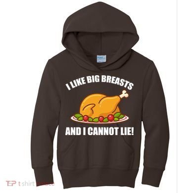 I like Big Breasts And I Cannot Lie Kids Hoodie