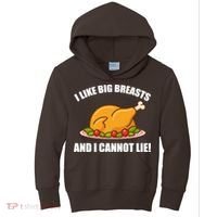 I like Big Breasts And I Cannot Lie Kids Hoodie thumb 0