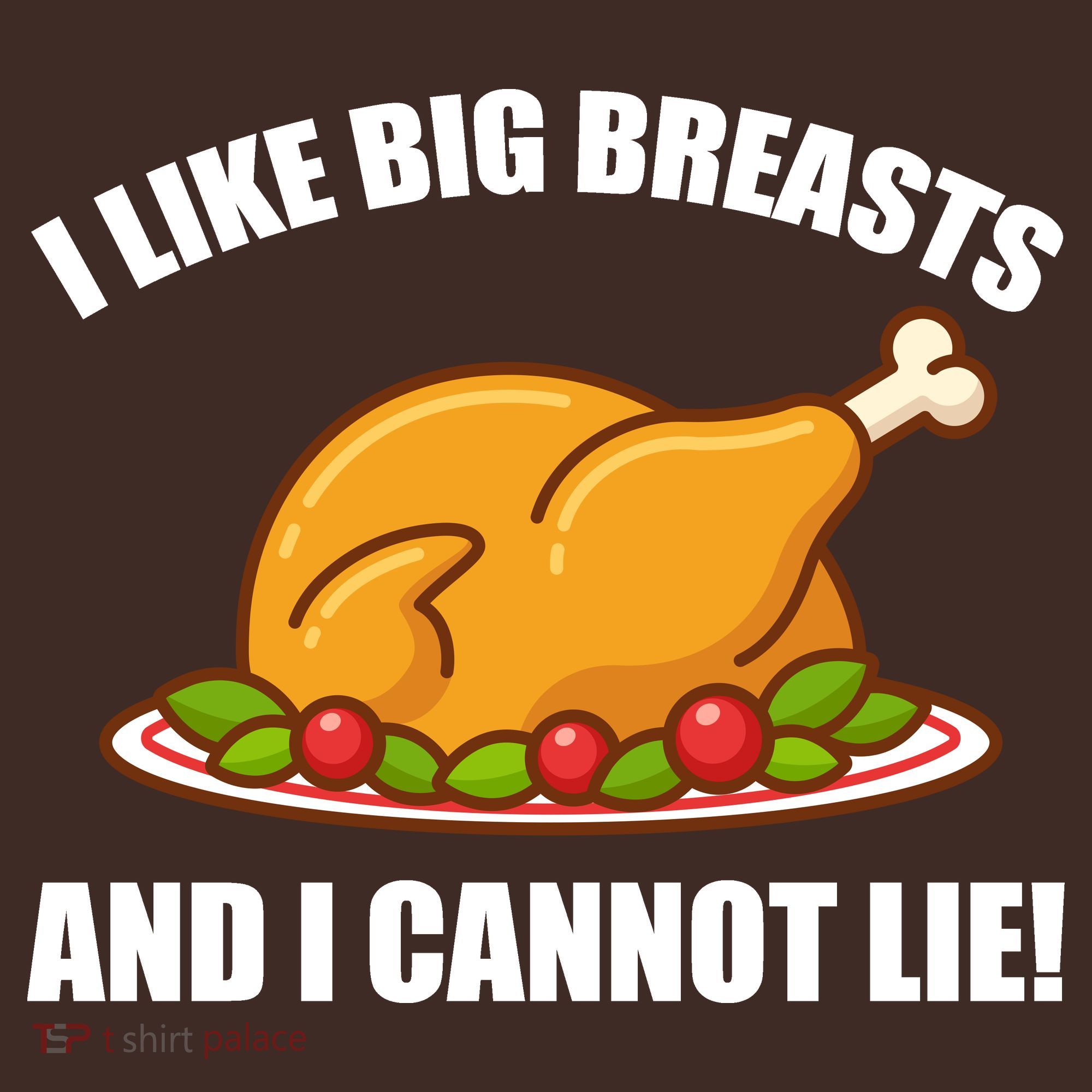 I like Big Breasts And I Cannot Lie Kids Hoodie
