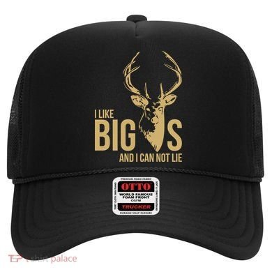 I Like Big Bucks and I Cannot Lie Hat