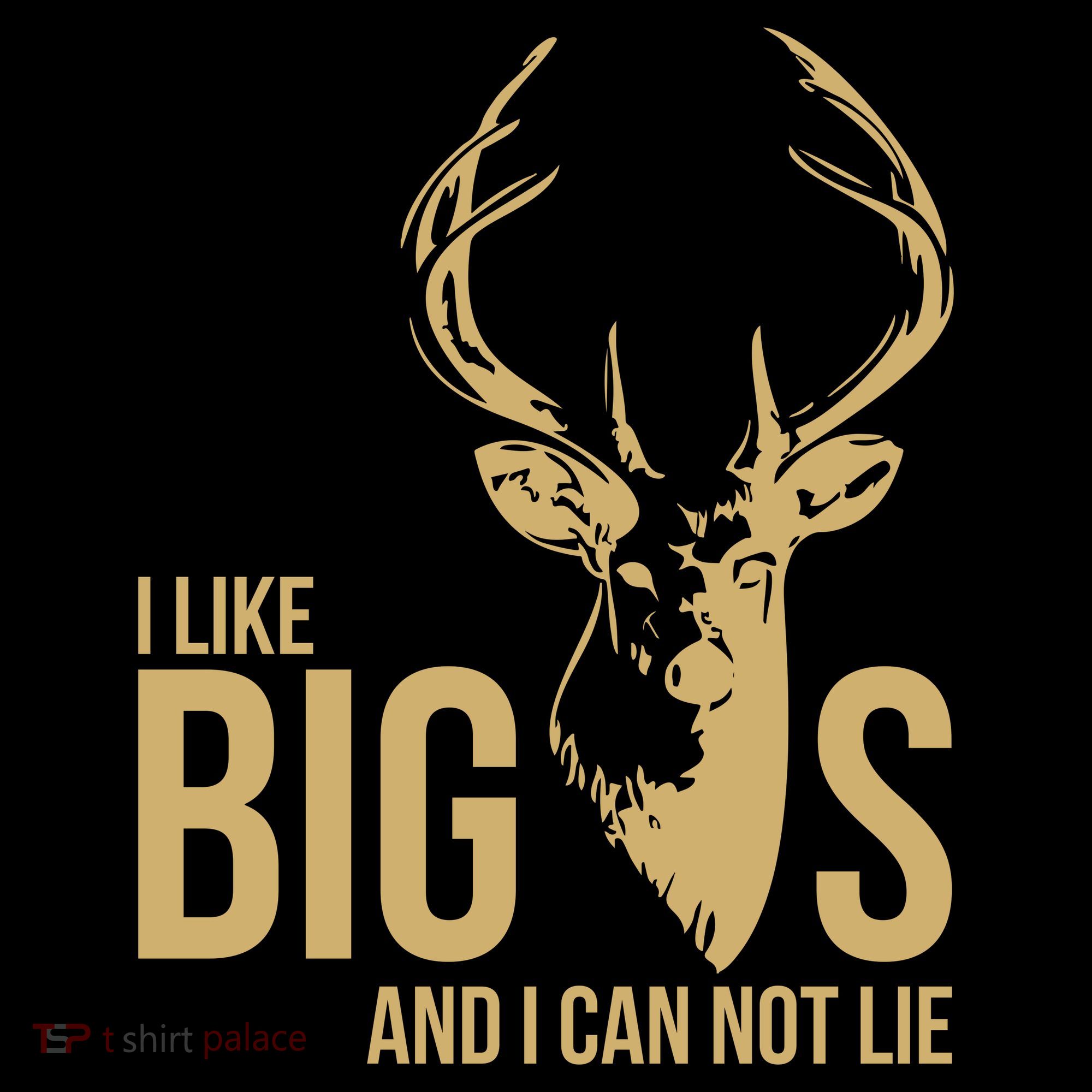 I Like Big Bucks and I Cannot Lie Kids Sweatshirt