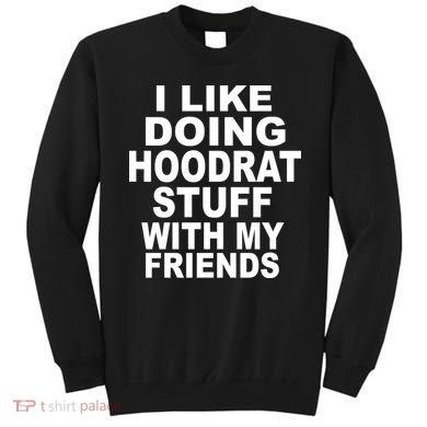 I Like Doing Hoodrat Stuff With My Friends Sweatshirt