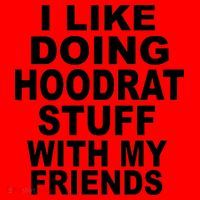 I Like Doing Hoodrat Stuff With My Friends Santa Hat thumb 1