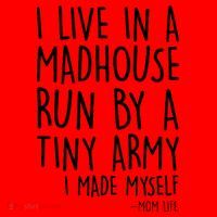 I Live In A Madhouse Run By A Tiny Army Mom Life Santa Hat thumb 1