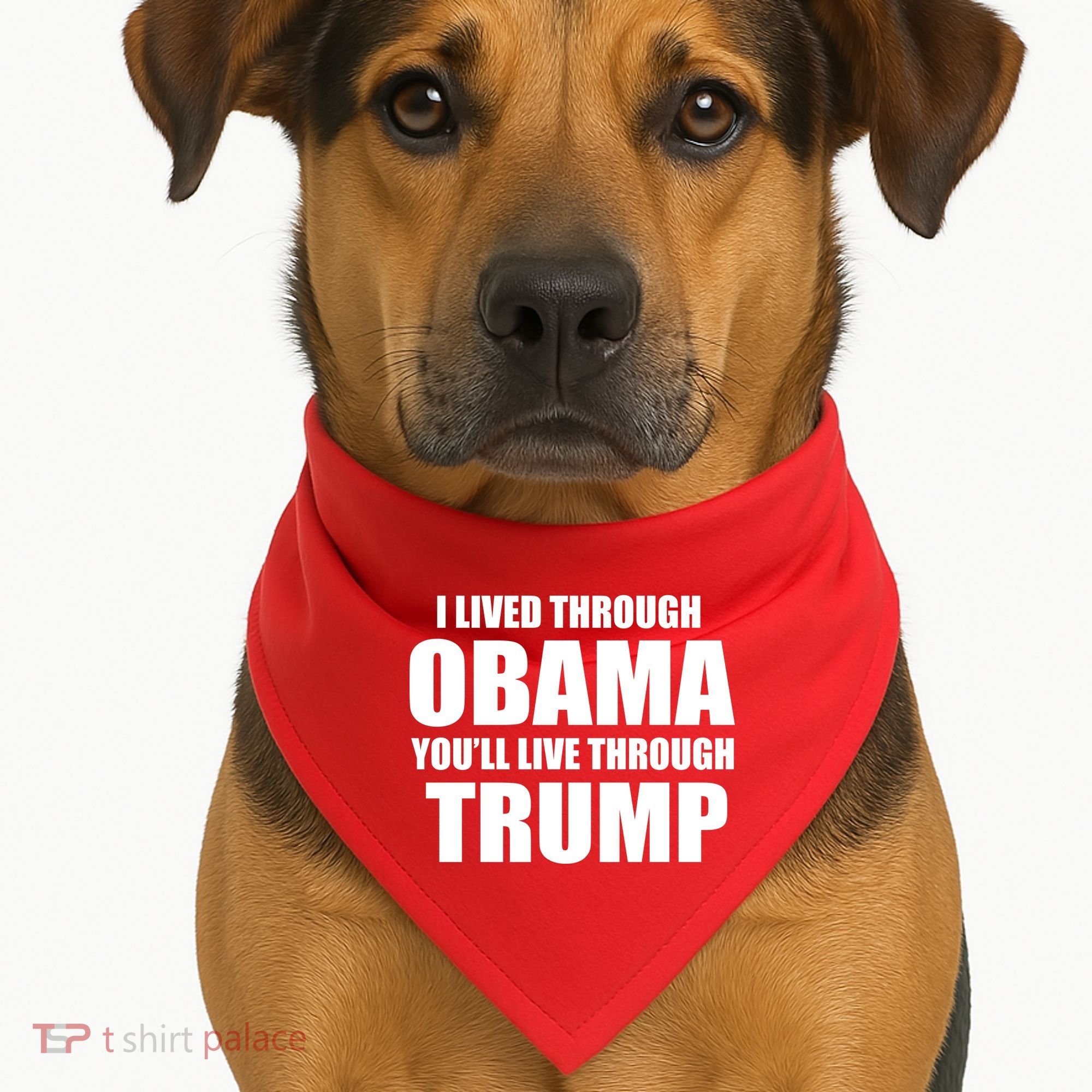 I Lived Through Obama You'll Live Through Trump USA-Made Doggie Bandana