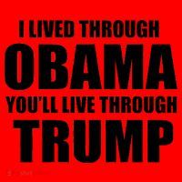 I Lived Through Obama You'll Live Through Trump Santa Hat thumb 1