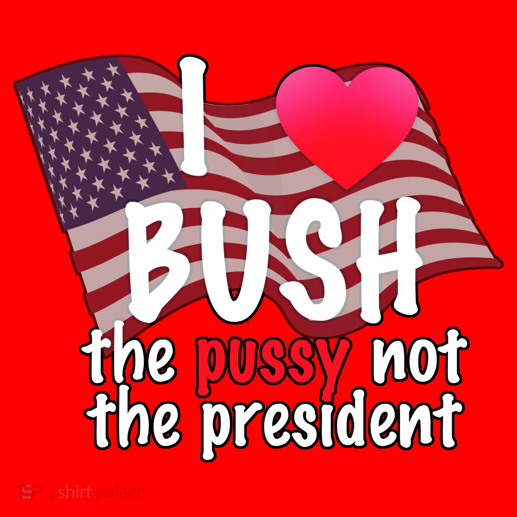 I Love Bush Funny Santa Hat