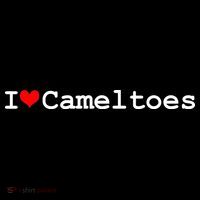 I Love Camel Toes Button thumb 1