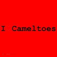 I Love Camel Toes Santa Hat thumb 1