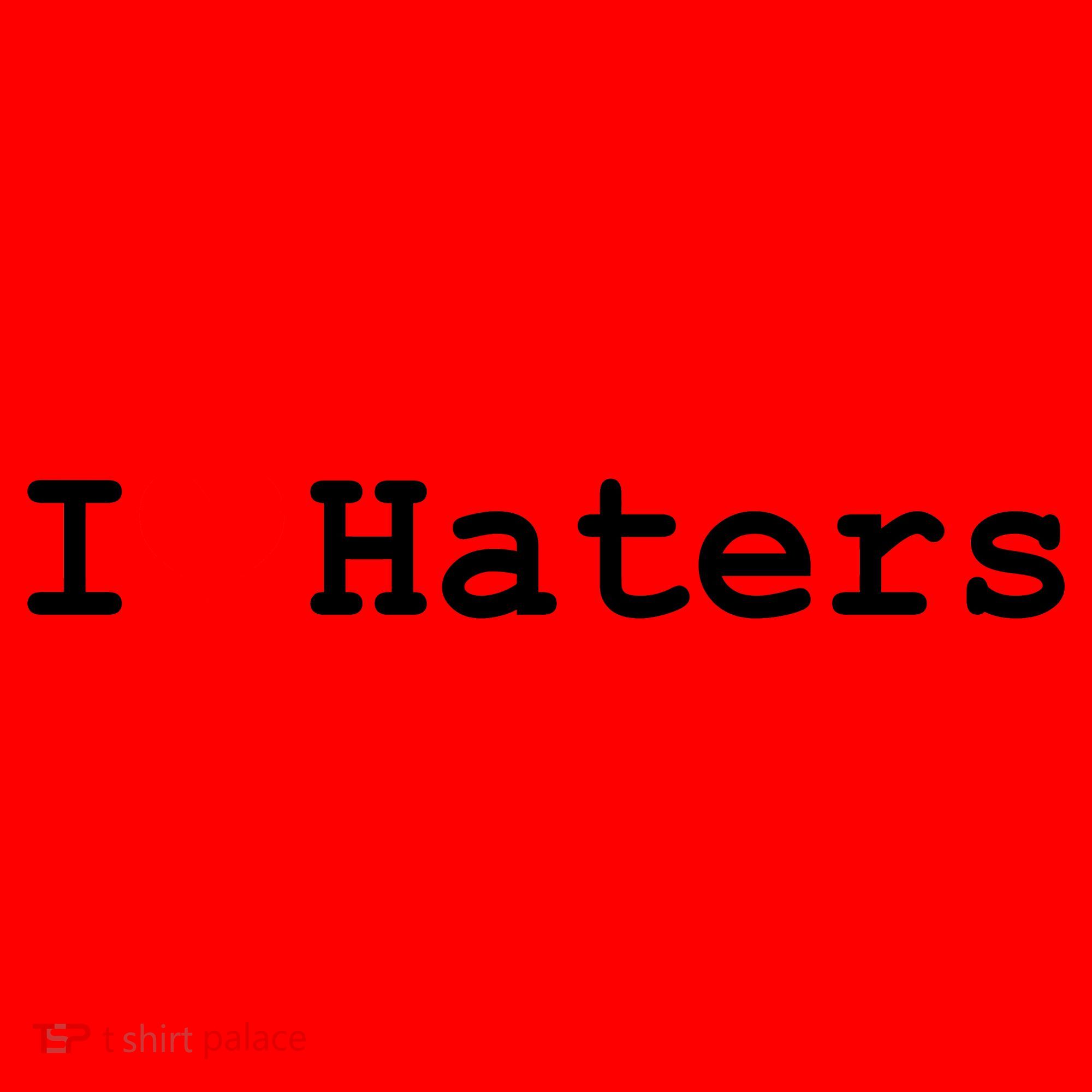 I Love Haters Santa Hat