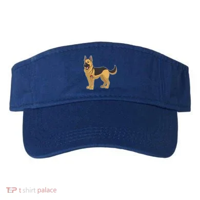 Visor