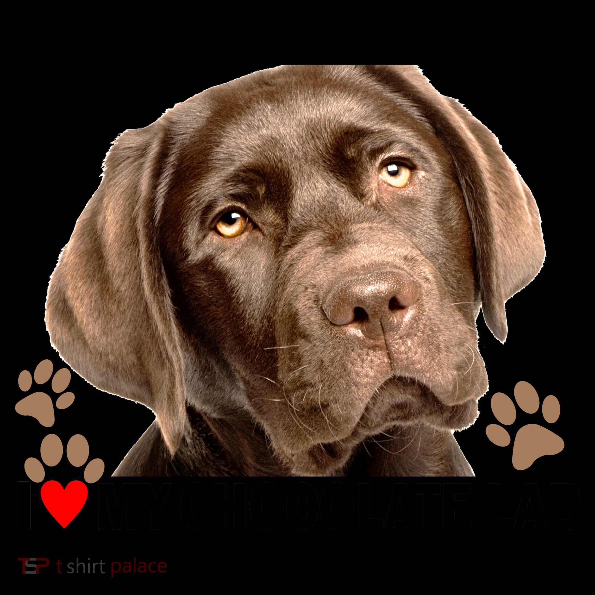 I Love My Chocolate Lab Coffee Mug