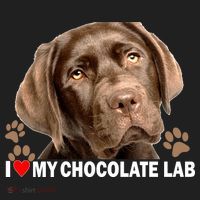 I Love My Chocolate Lab Beanie thumb 2