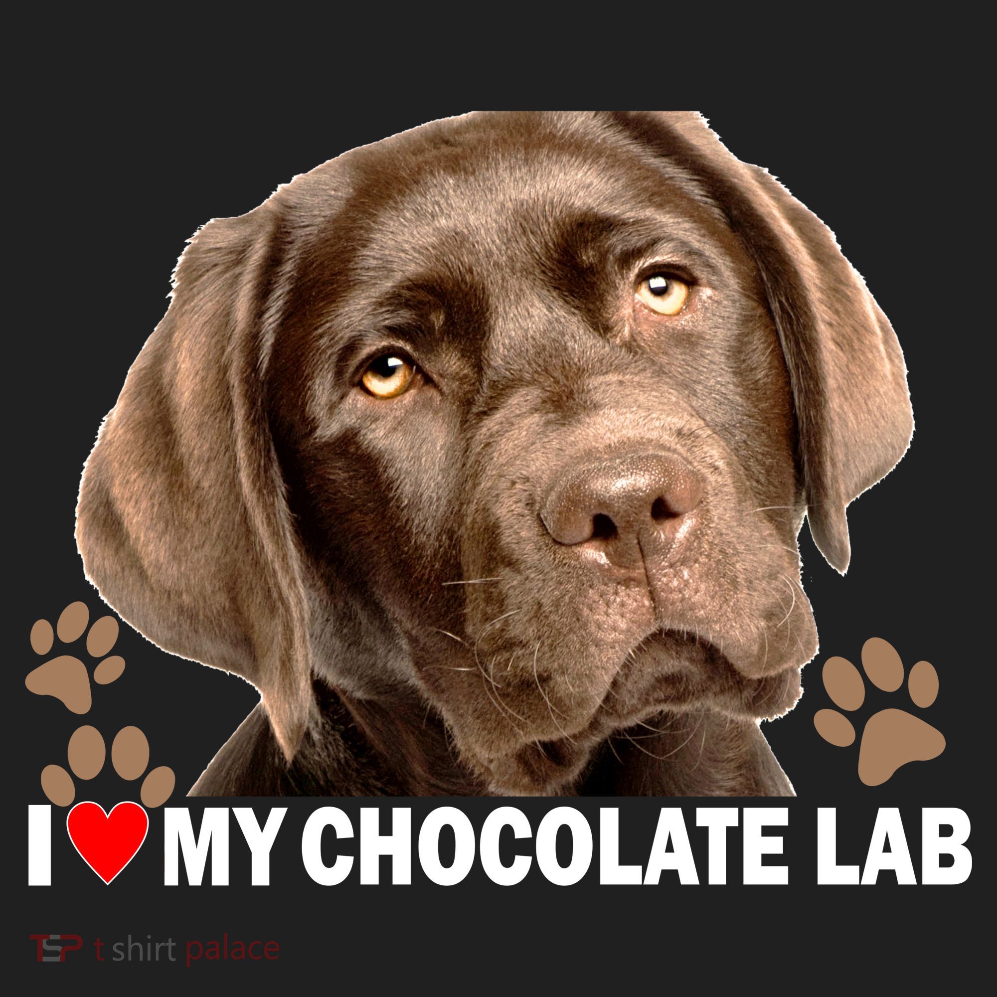 I Love My Chocolate Lab Beanie