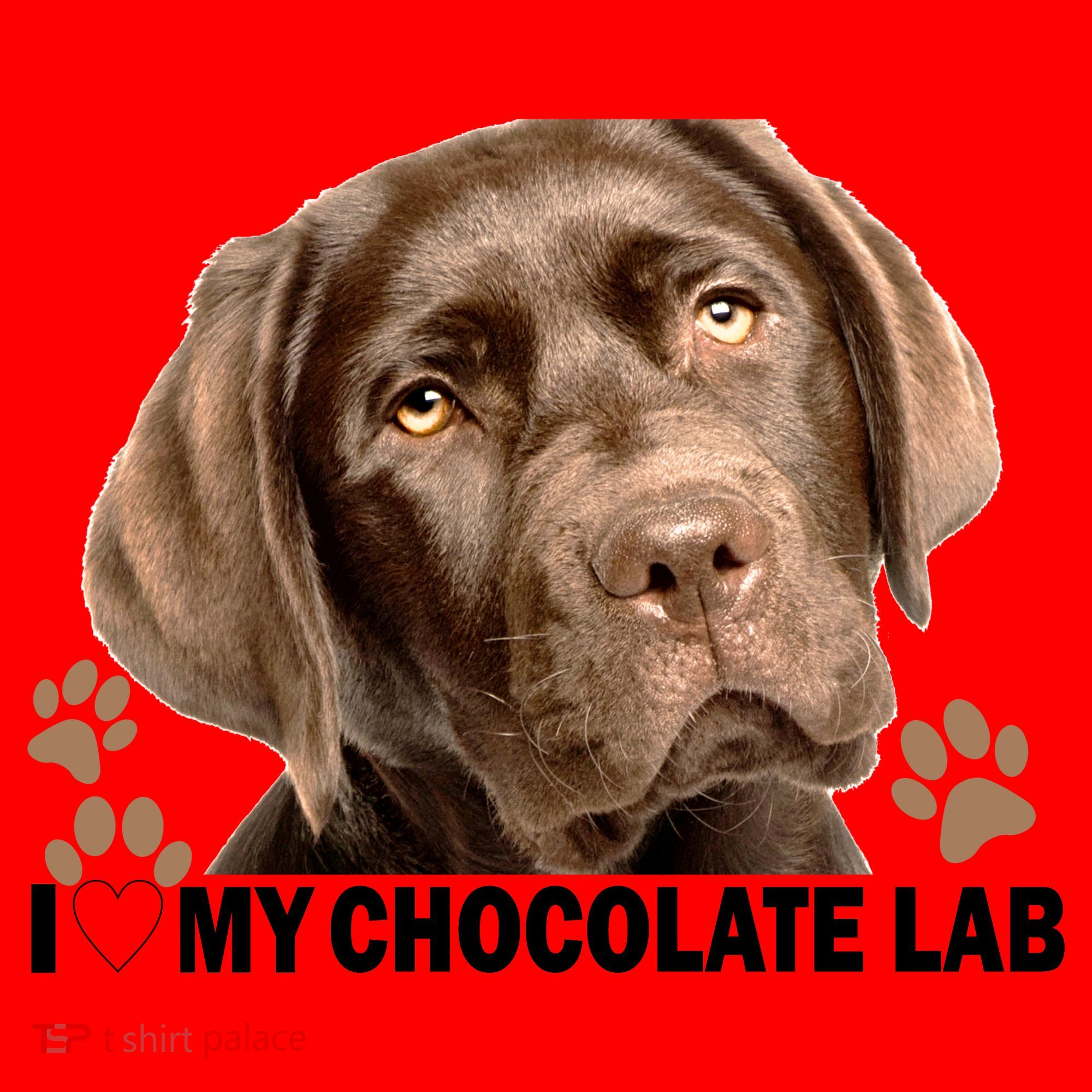 I Love My Chocolate Lab Santa Hat