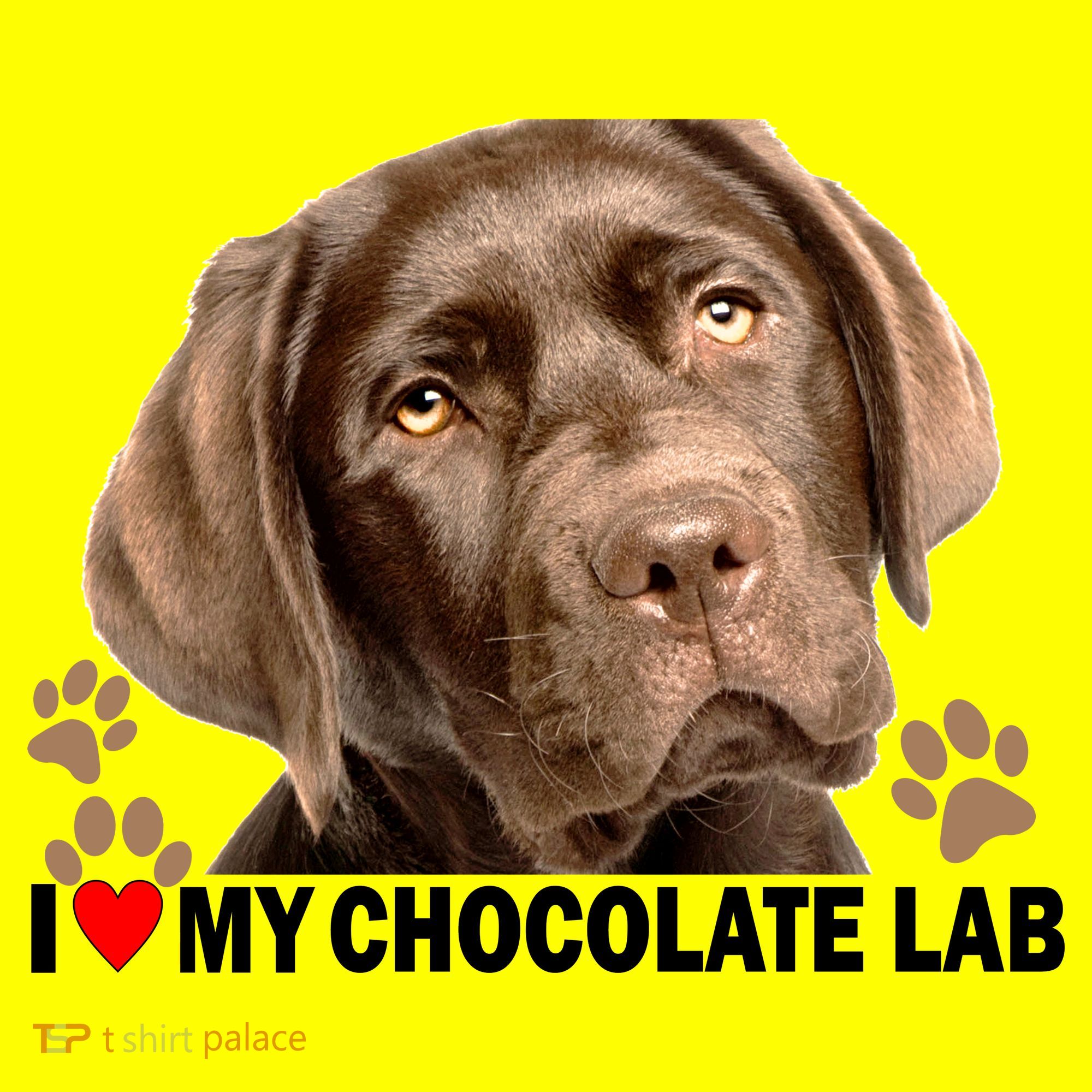 I Love My Chocolate Lab Hat