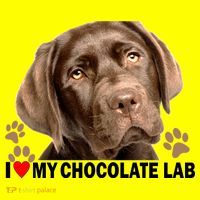 I Love My Chocolate Lab Kids Long Sleeve Shirt thumb 2