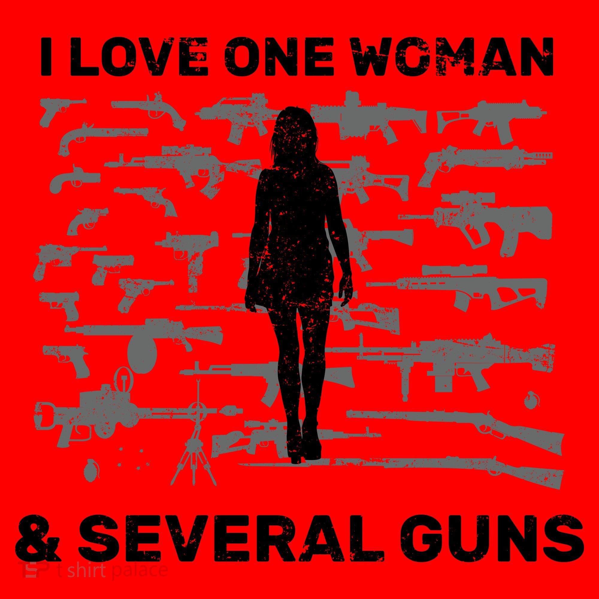 I Love One Woman and Several Guns Santa Hat