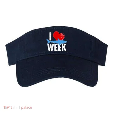 Visor