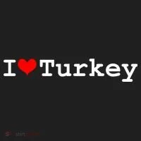 I Love Turkey Hat thumb 2