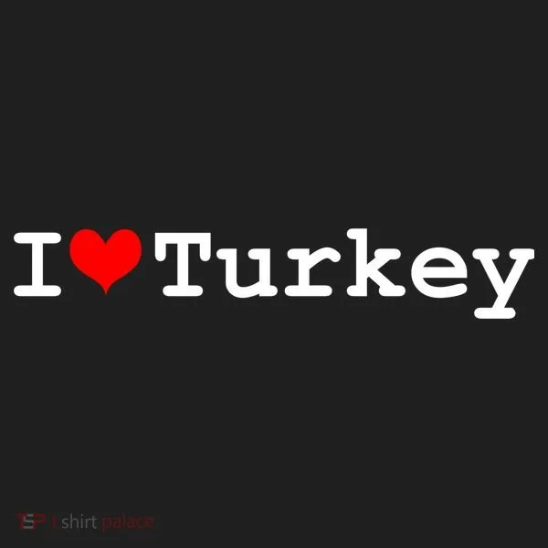 I Love Turkey Hat
