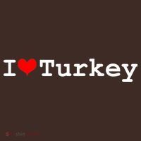 I Love Turkey Baby Bodysuit thumb 2