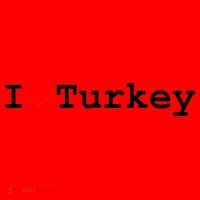 I Love Turkey Santa Hat thumb 1