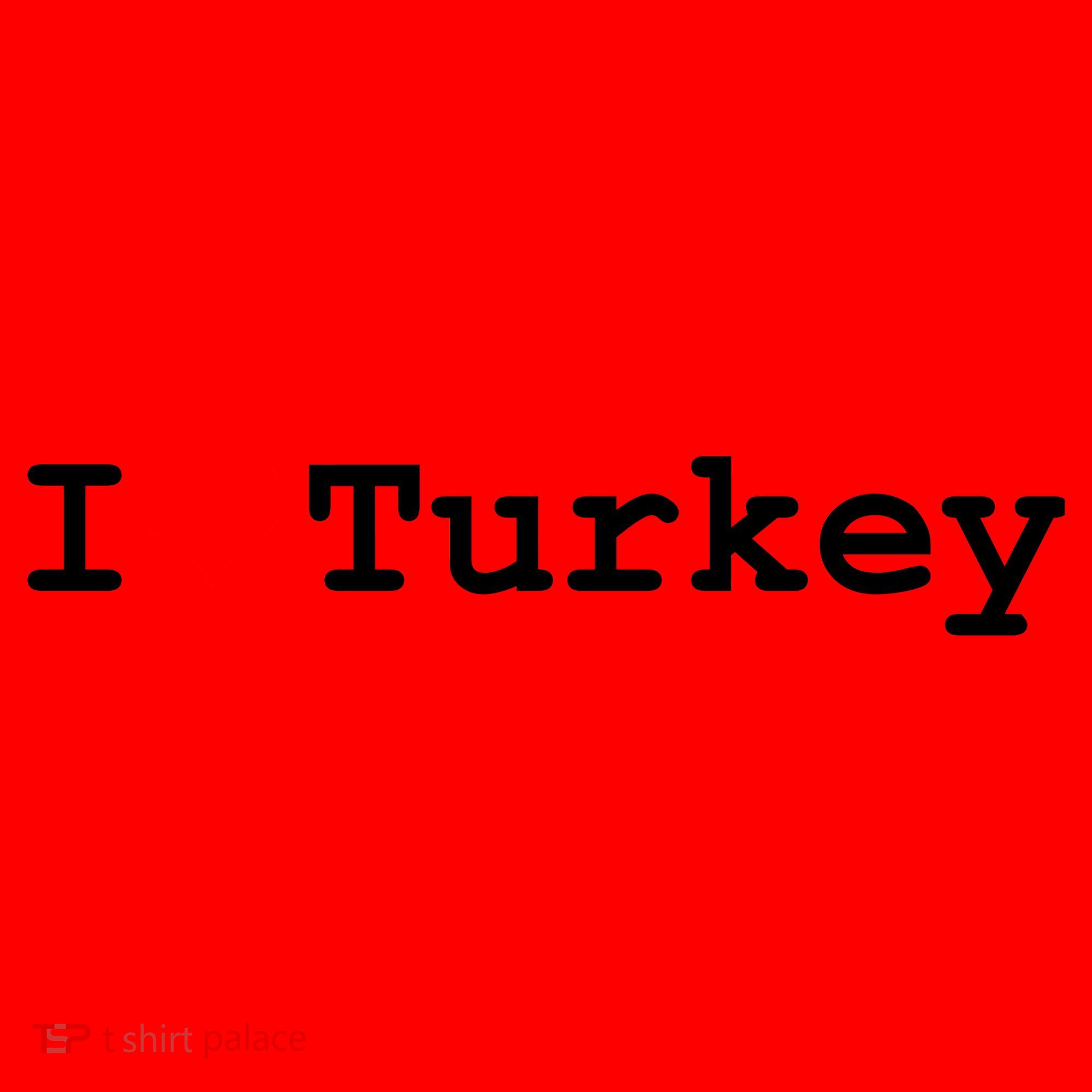 I Love Turkey Santa Hat