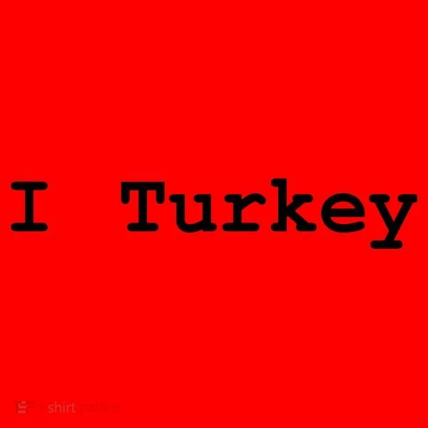 I Love Turkey Santa Hat