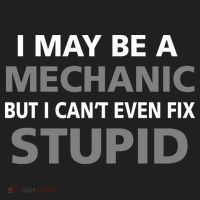 I May Be A Mechanic But I Can't Fix Stupid Women's Sweatshirt thumb 2