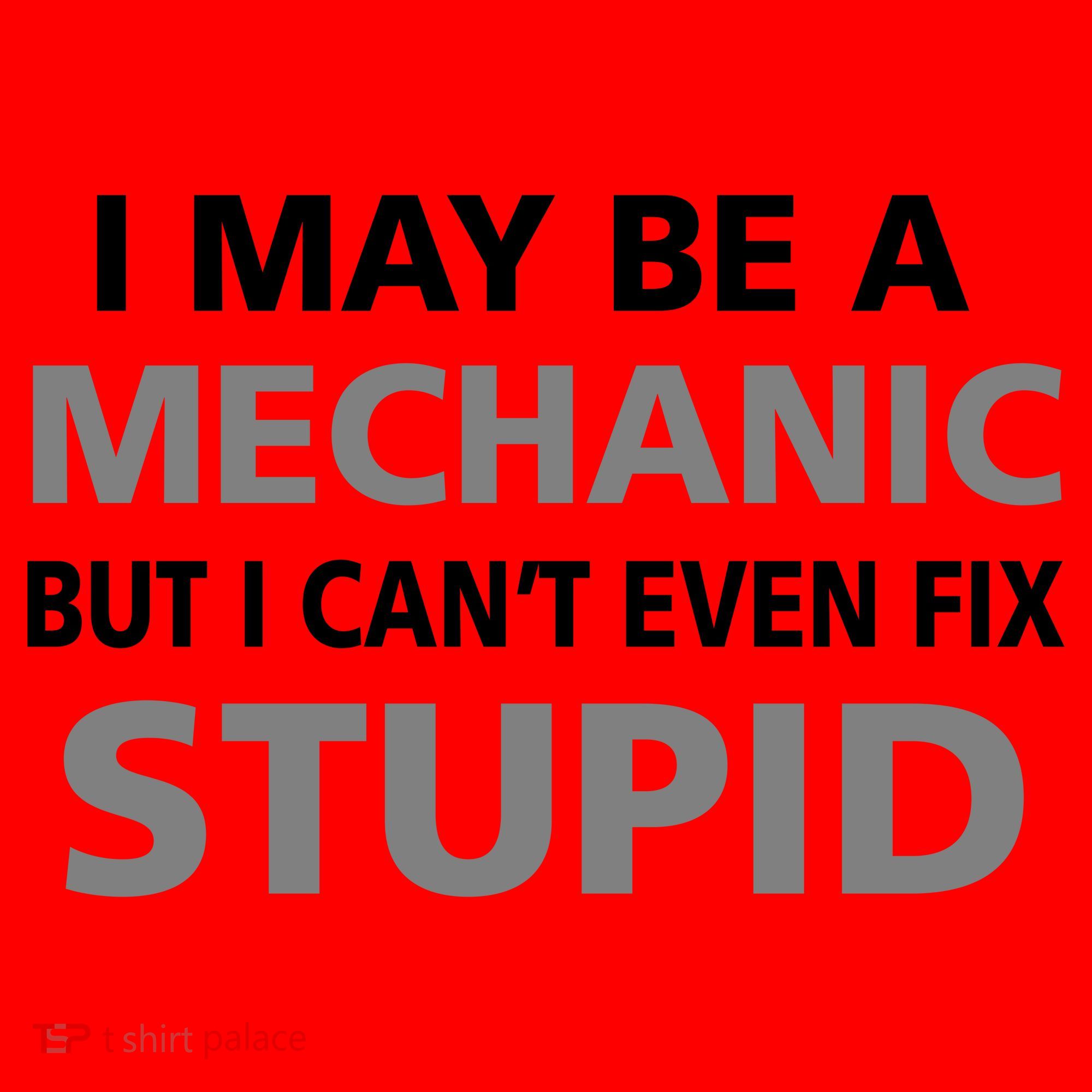 I May Be A Mechanic But I Can't Fix Stupid Santa Hat