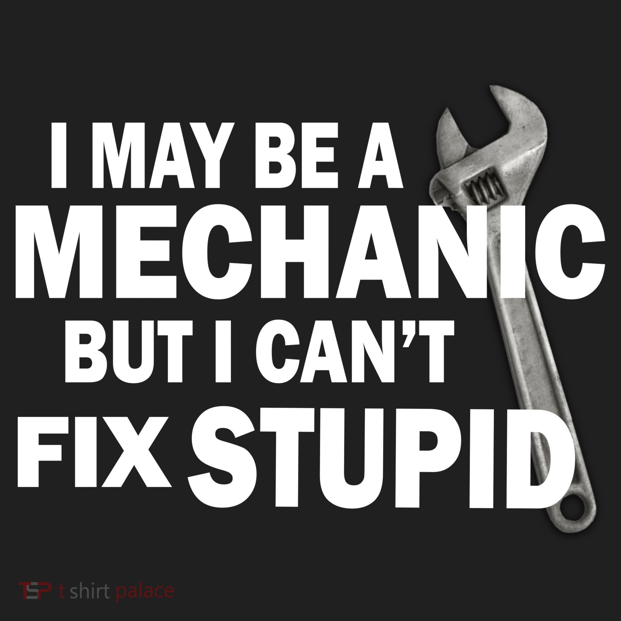I May Be A Mechanic But I Can't Fix Stupid Funny Beanie