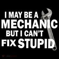 I May Be A Mechanic But I Can't Fix Stupid Funny Women's Hoodie thumb 2