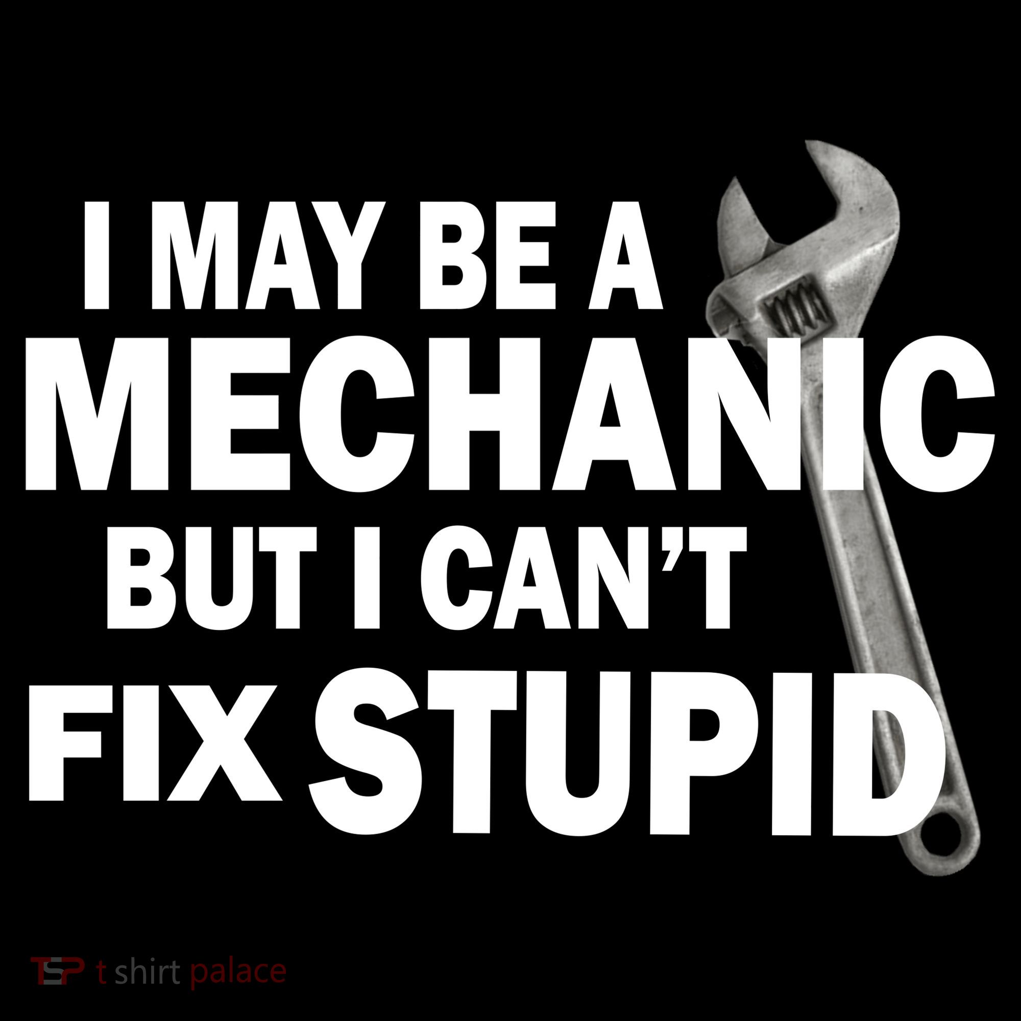 I May Be A Mechanic But I Can't Fix Stupid Funny Women's Tank Top