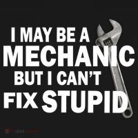 I May Be A Mechanic But I Can't Fix Stupid Funny Kids T-Shirt thumb 4